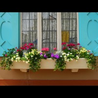 Blumenkasten c nojustice